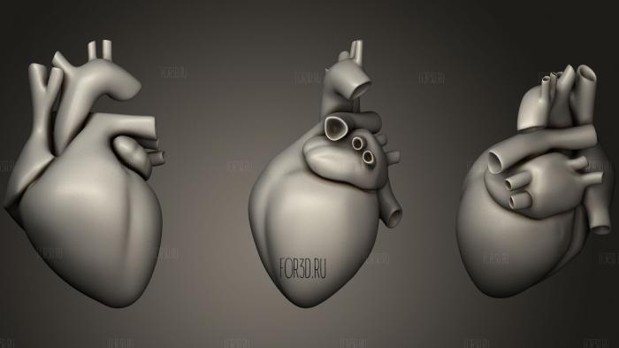Human heart 3d stl модель для ЧПУ